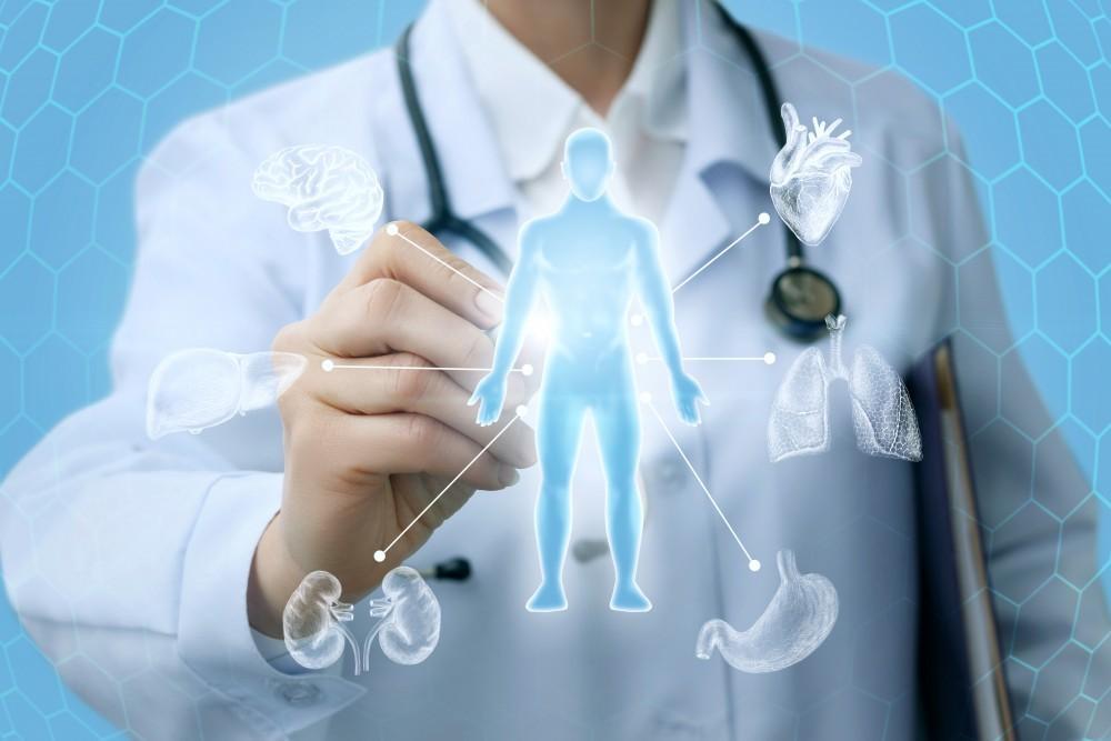 A doctor in a white coat uses a digital pen to interact with a glowing human figure surrounded by holographic organs, representing medical technology and healthcare.