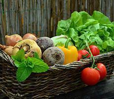 A wicker basket filled with fresh vegetables including tomatoes, onions, beets, a yellow bell pepper, lettuce, and a sprig of mint, set against a wooden background.