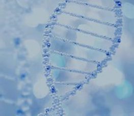 A close-up illustration of a DNA double helix with a blue and white color scheme, showing the twisted ladder structure with highlighted connecting bonds. The background is softly blurred.